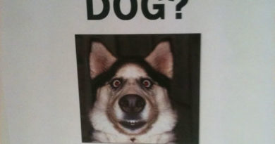 Have You Seen This Dog? - Dog humor