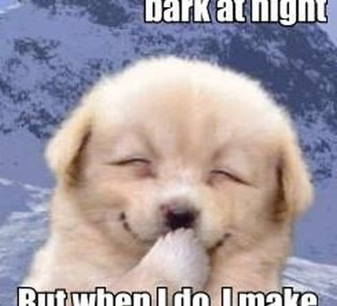 I Don't Always Bark At Night - Dog humor