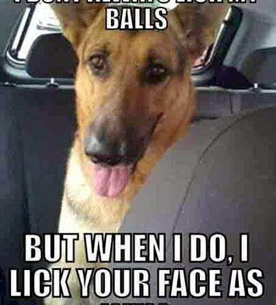 I Don't Always Lick My Balls - Dog humor