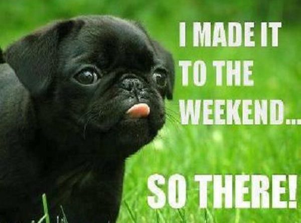 I Made It To The Weekend - Dog humor