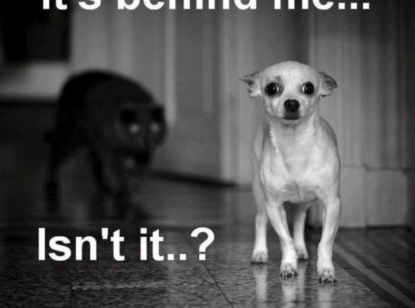 It's Behind Me... - Dog humor