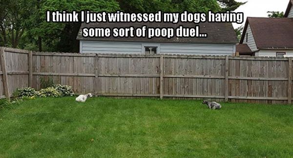 Poop Duel - Dog humor