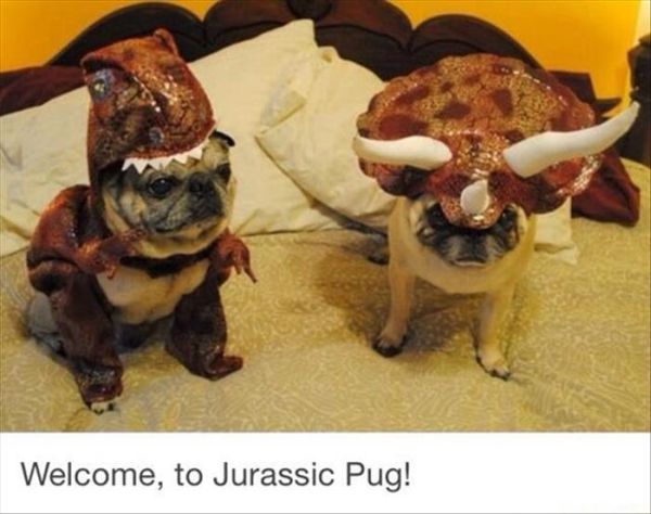 Jurassic Pug - Dog humor