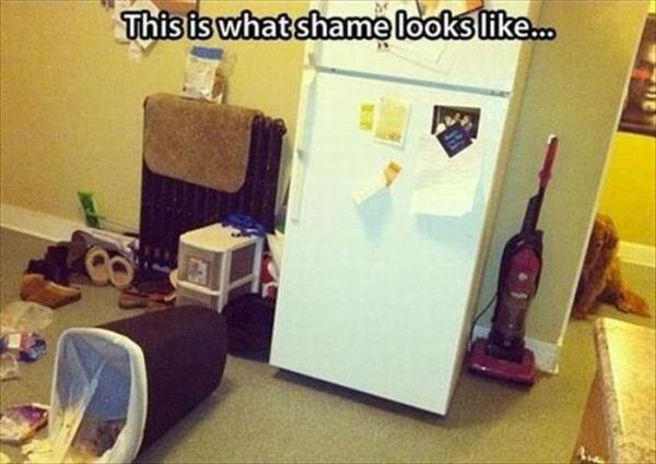 This Is What Shame Looks Like... - Dog humor