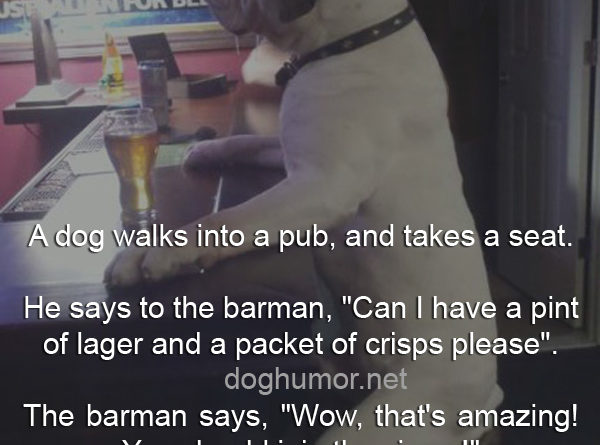 A Dog Walks Into a Pub - Dog humor