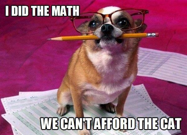 I Did The Math - Dog humor
