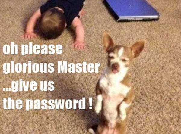 Please Glorious Master - Dog humor