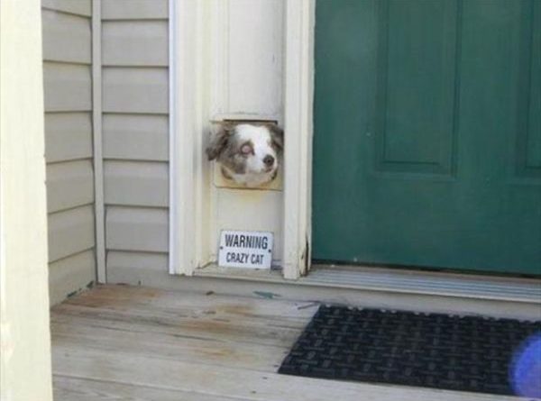 Warning! - Dog humor