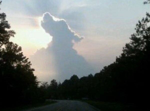 All Dogs Go To Heaven - Dog humor