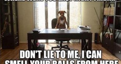Don't Lie To Me - Dog humor