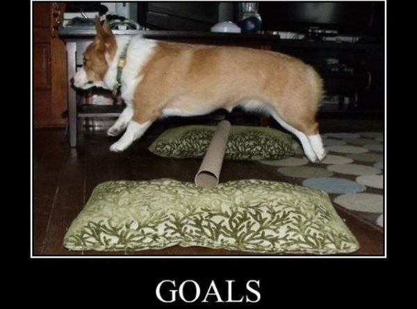 Goals - Dog humor
