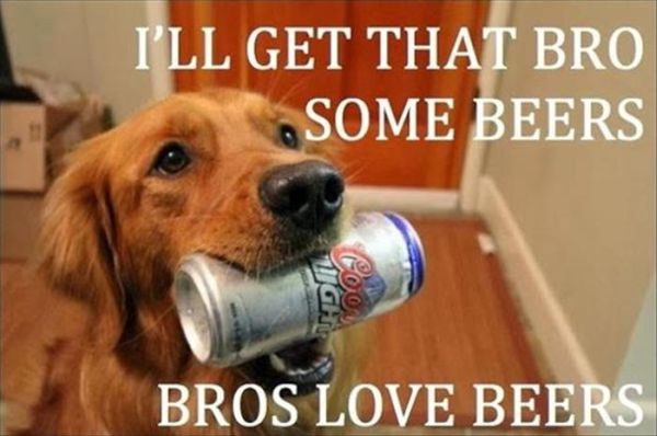 I'll Get That Bro Some Beers - Dog humor