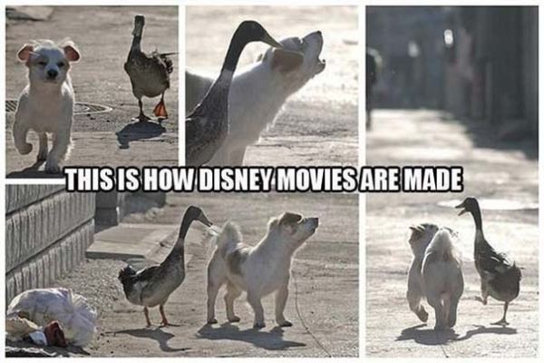 This Is How Disney Movies Are Maid - Dog humor