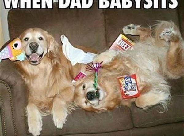 When Dad Babysits - Dog humor