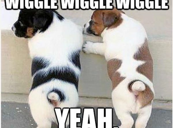 Wiggle, Wiggle, Wiggle - Dog humor