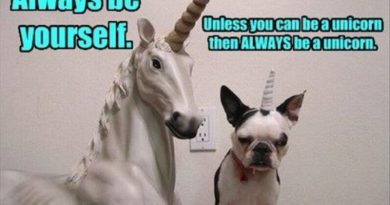 Always Be Yourself Unless... - Dog humor