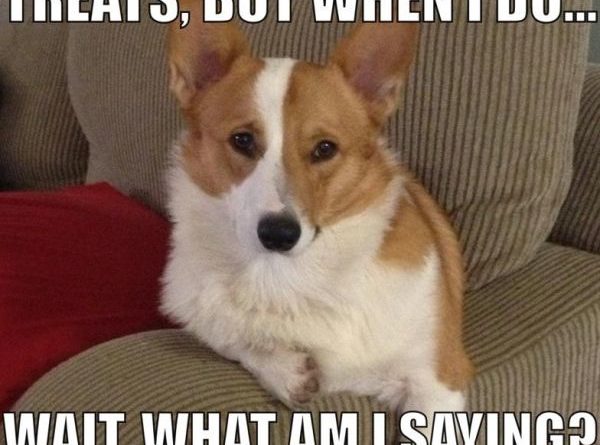 I Don't Always Eat Treats - Dog humor