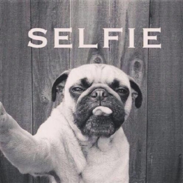 Selfie - Dog humor