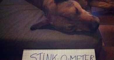 Stink-O-Meter - Dog humor
