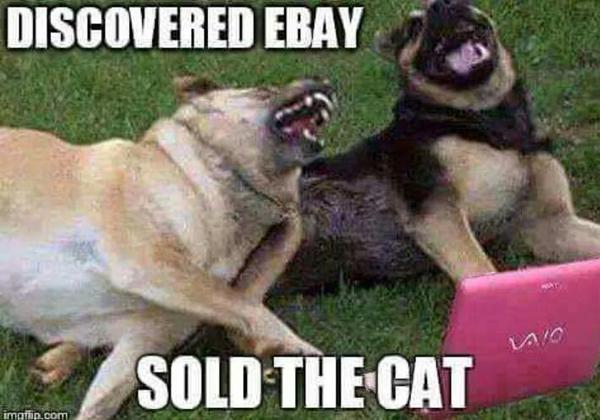 Discovered Ebay - Dog humor