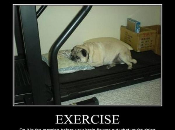 Exercise - Dog humor