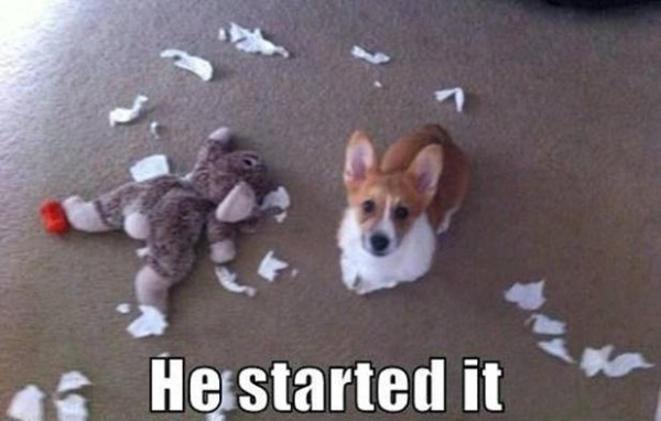 He Started It - Dog humor