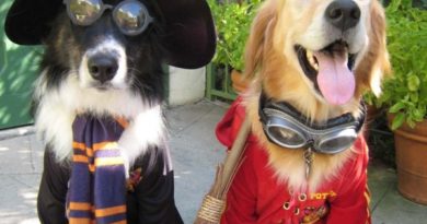 Hogwarts Students - Dog humor