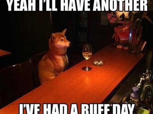 yeah I'll Have Another - Dog humor
