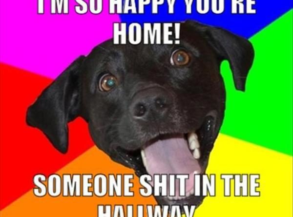 I'm So Happy You're Home - Dog humor