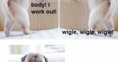 Wigle Wigle Wigle! - Dog humor