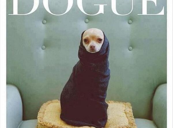 New Dog Fashion Magazine - Dog humor