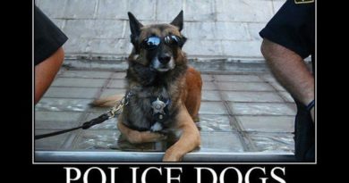 Police Dogs - Dog humor