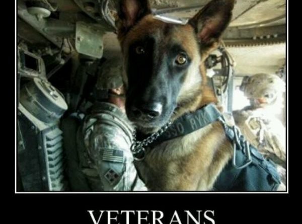 Veterans - Dog humor