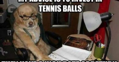 Business Dog - Dog humor