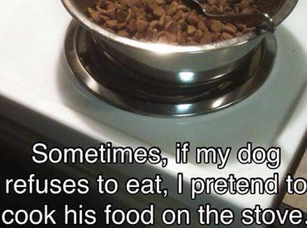 Dog Food Hack - Dog humor