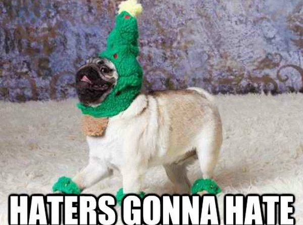 Haters Gonna Hate - Dog humor