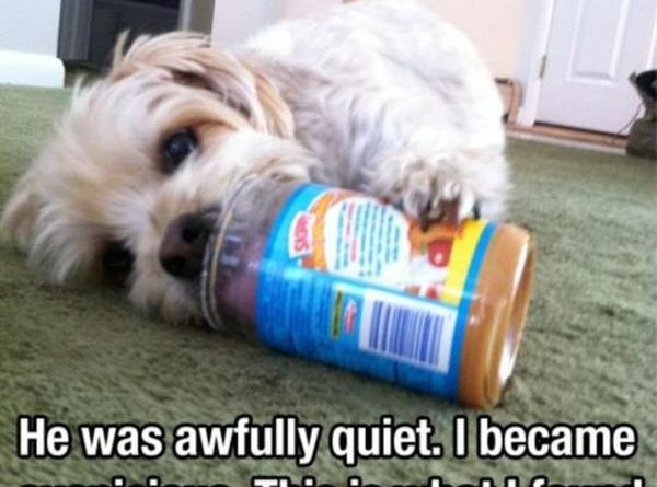 He Was Awfully Quiet - Dog humor