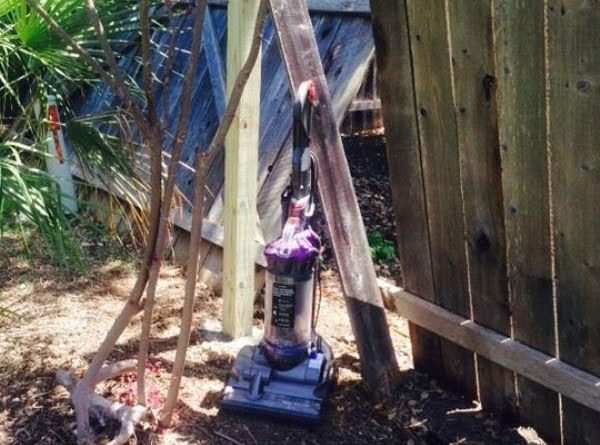 How to keep your dog from escaping through the broken fence - Dog humor