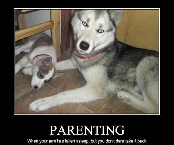 Parenting - Dog humor