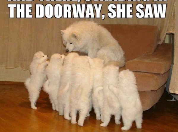 Scary Storytelling Dog - Dog humor