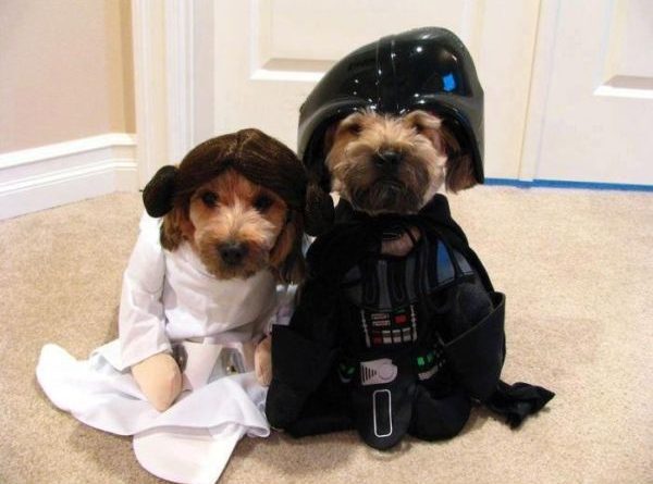 Star Wars Dogs - Dog humor