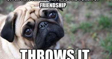 Token Of Friendship - Dog humor