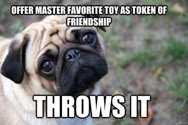 Token Of Friendship - Dog humor