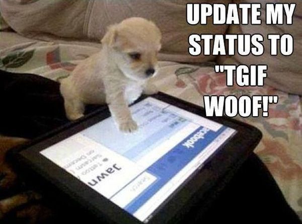 Update my status to TGIF Woof! - Dog humor