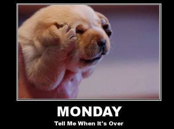 Monday - Dog humor