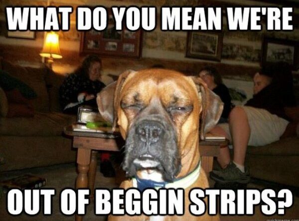 What Do You Mean... - Dog humor