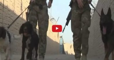 A day in the life of some military dogs and their handlers